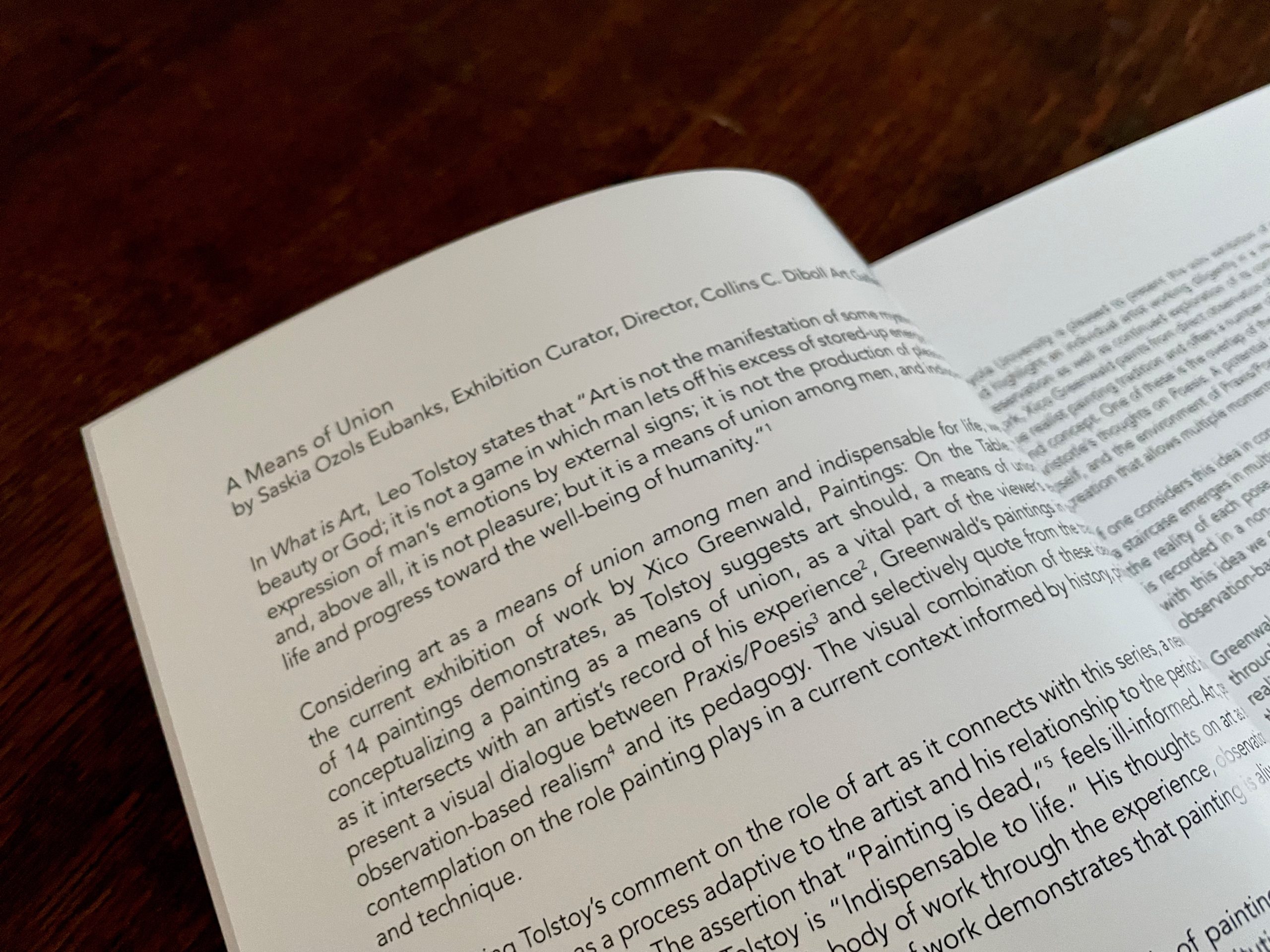 You are currently viewing Catalogue and Exhibition Essay as Curator, Collins C. Diboll Art Gallery, Loyola University