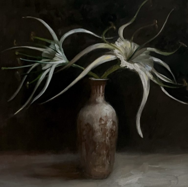 Read more about the article Spider Lillies