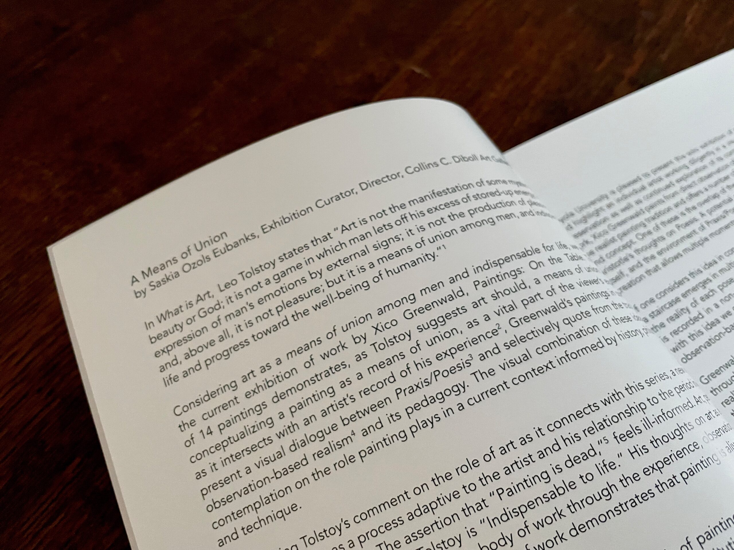 You are currently viewing Curator’s Essay as Gallery Director, Collins C. Diboll Art Gallery of Loyola University